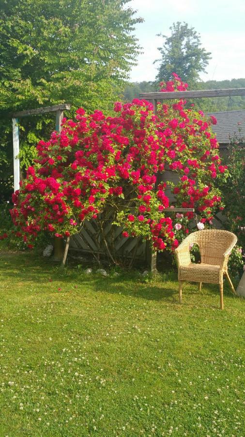 Bed & Breakfast Jani *